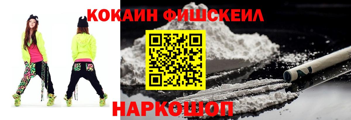 A PVP Йошкар-Ола