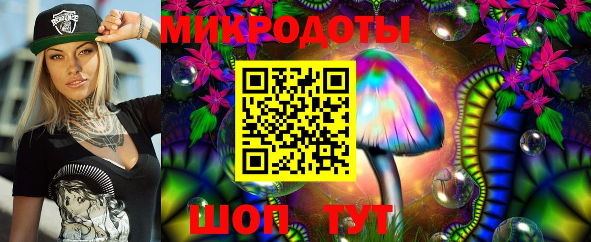Псилоцибиновые грибы мухоморы Йошкар-Ола